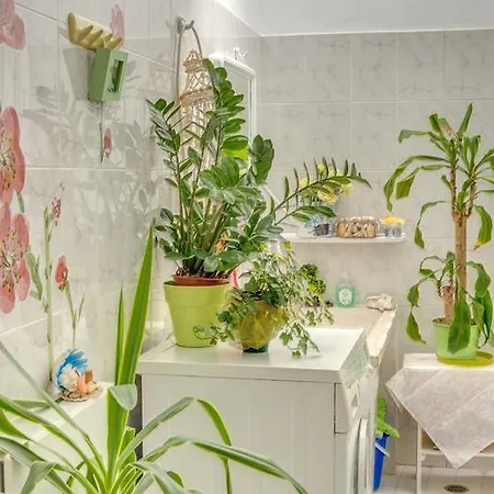 Tatil Evi Veranda Syros House Ermoupoli