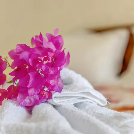 Veranda Syros House * Ερμούπολη