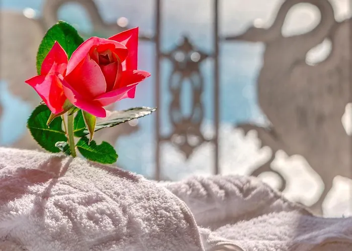 Tatil Evi Veranda Syros House